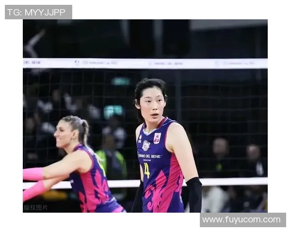 南京排球队实力强劲荣登排球个人能力排行榜第三名